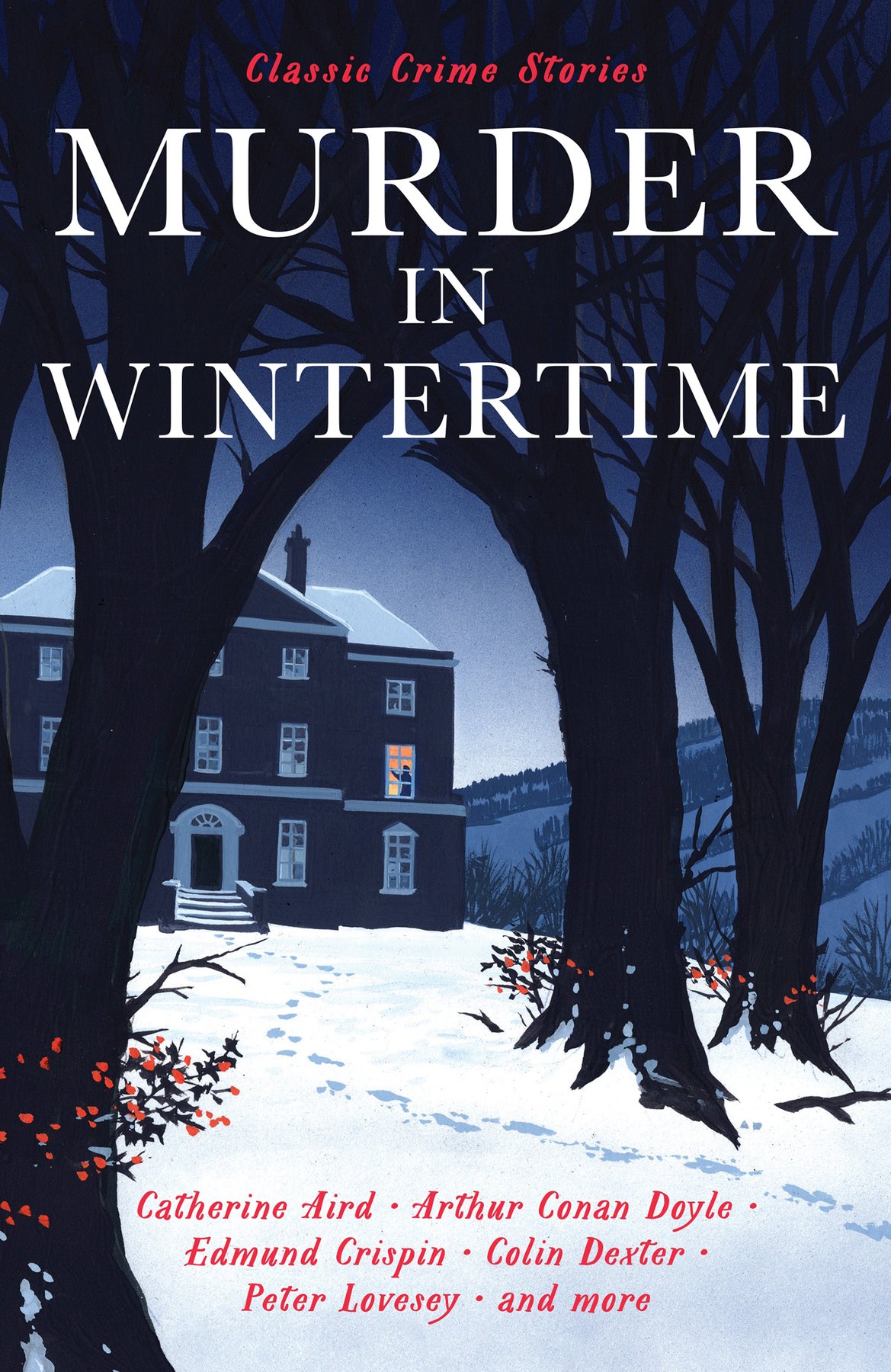 Cover of Murder in Wintertime