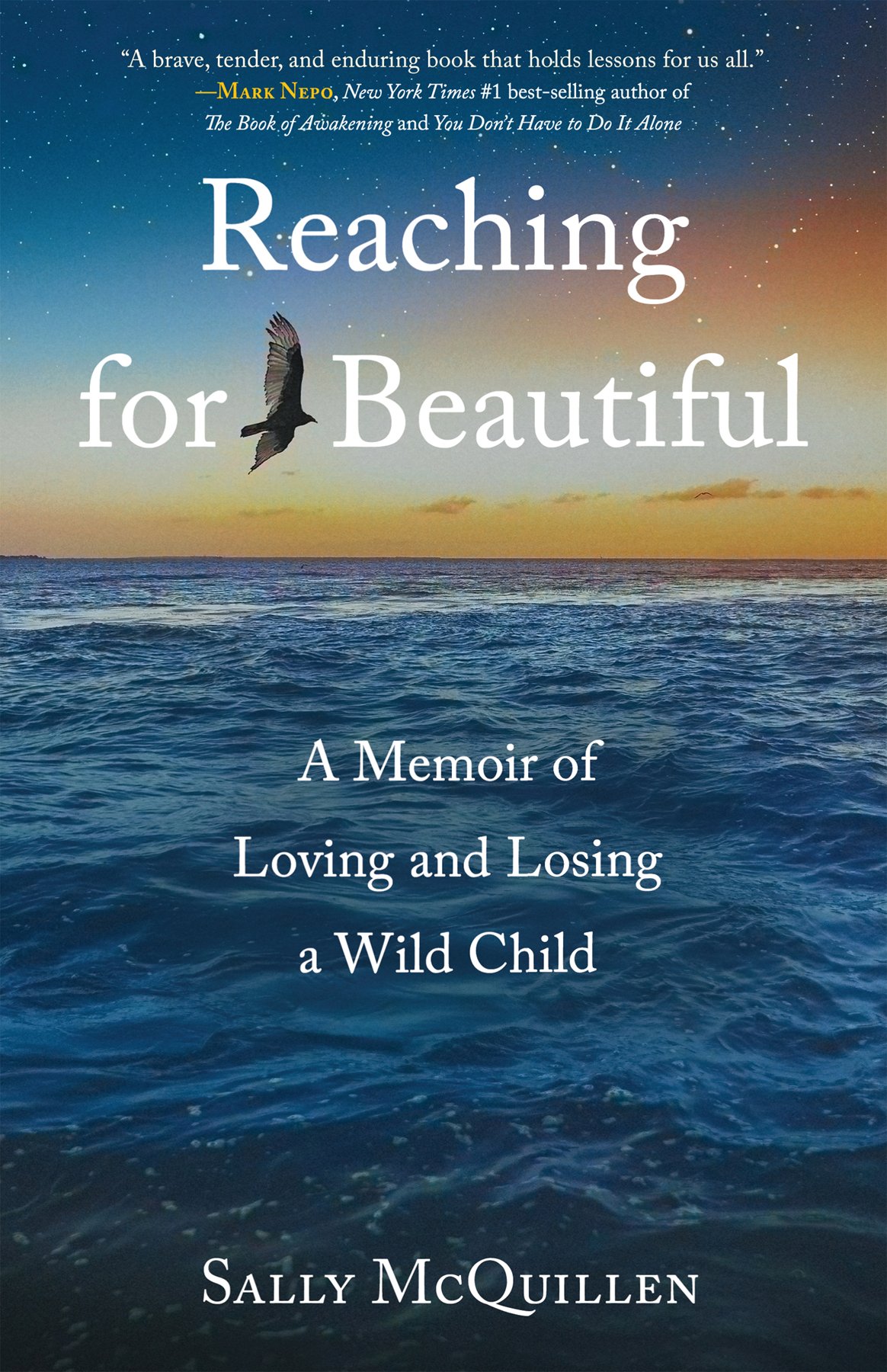 Cover of Reaching for Beautiful