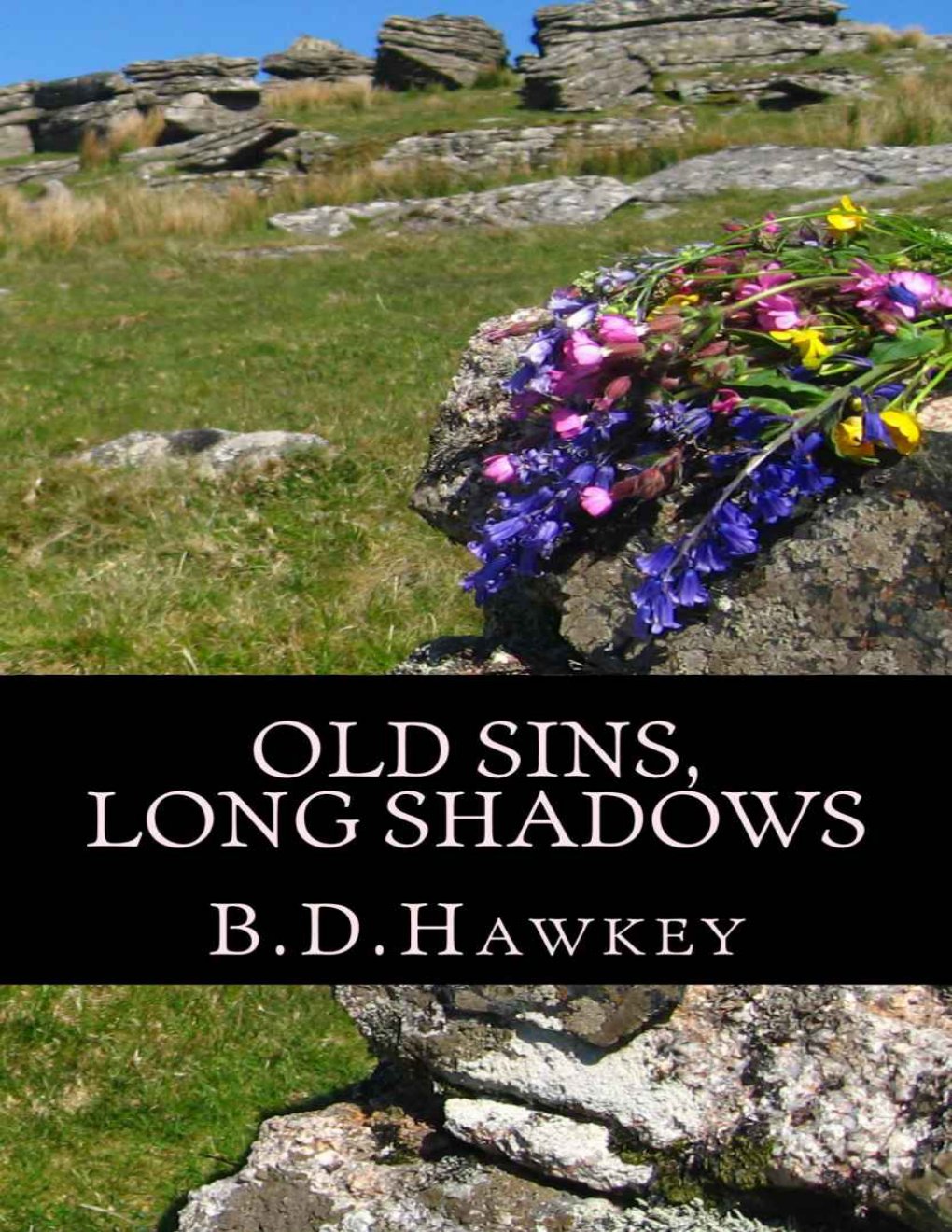 Cover of Old Sins Long Shadows
