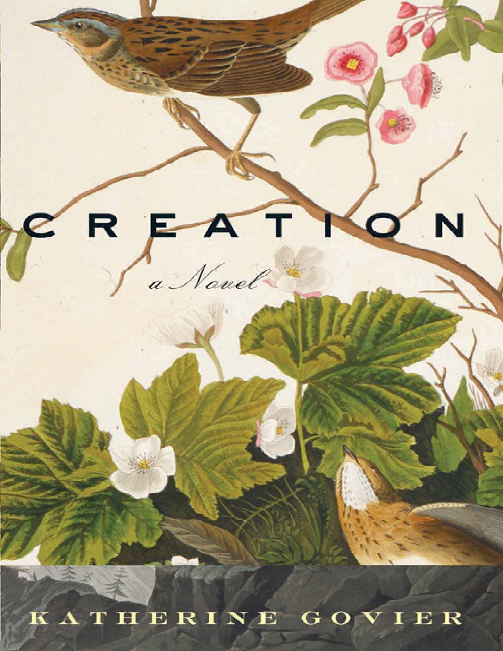 Cover of Creation (1826)