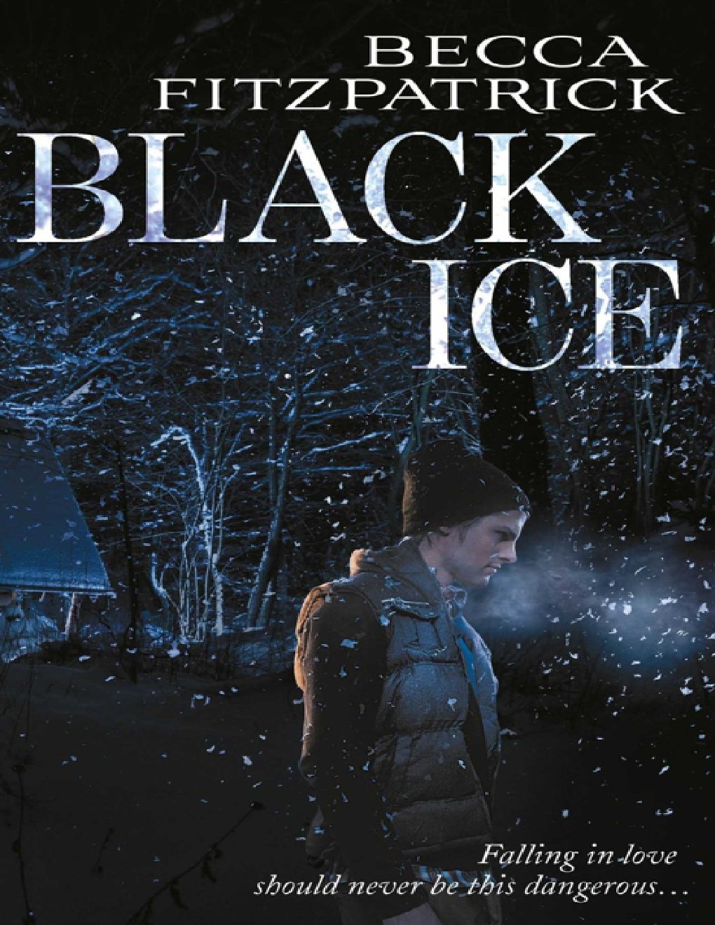 Cover of Black Ice