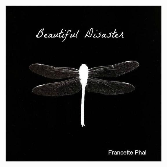 Cover of Beautiful Disaster (The Bet)