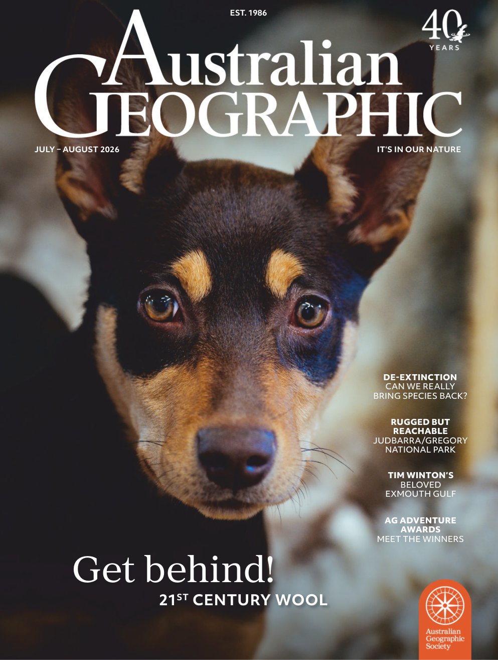 Cover of Get behind!