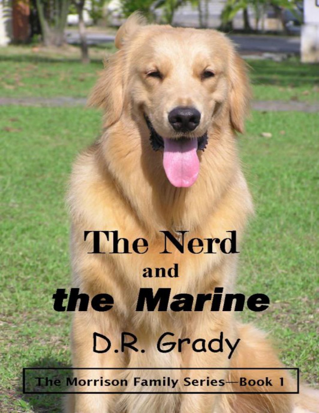 Cover of Nerd and the Marine