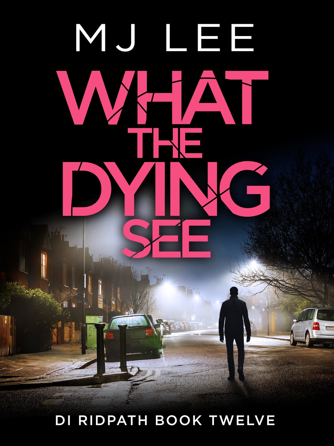 Cover of What the Dying See