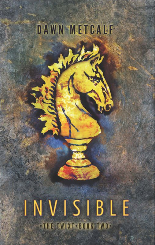 Cover of Invisible