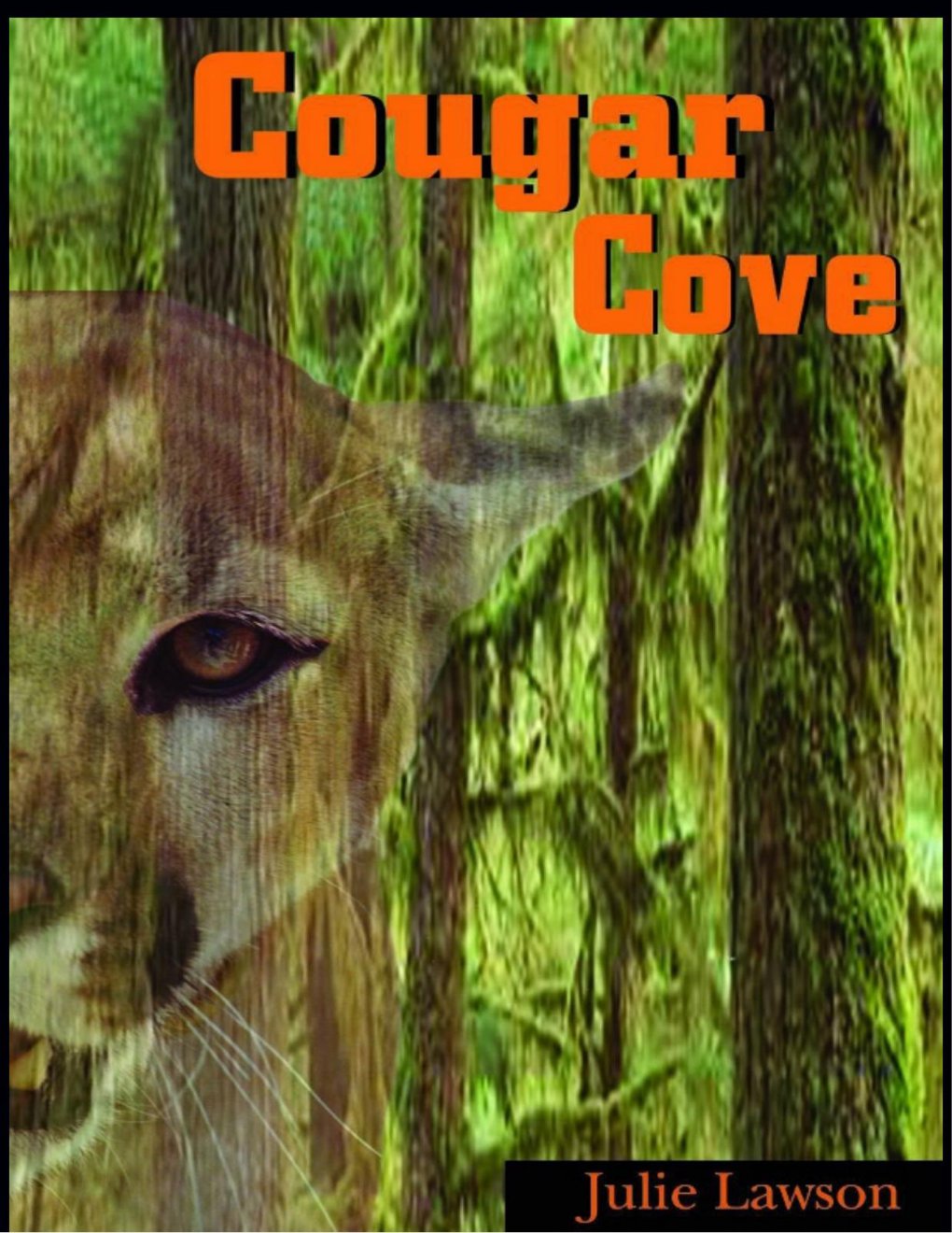 Cover of Cougar Cove