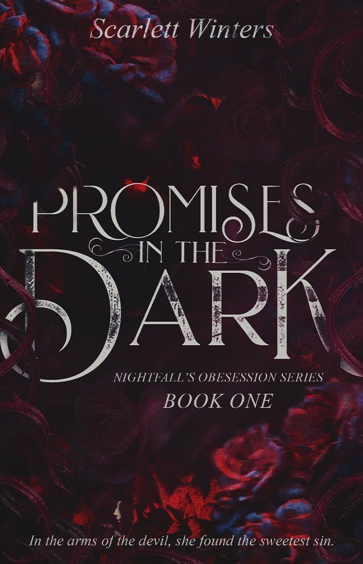Cover of Promises in the Dark