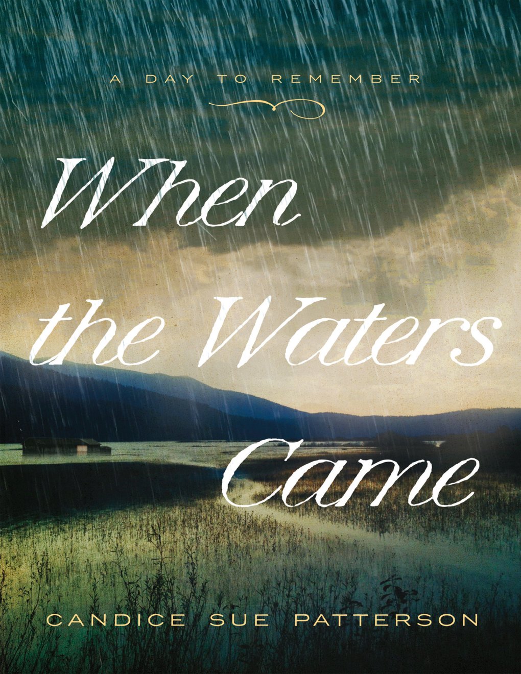Cover of When the Waters Came