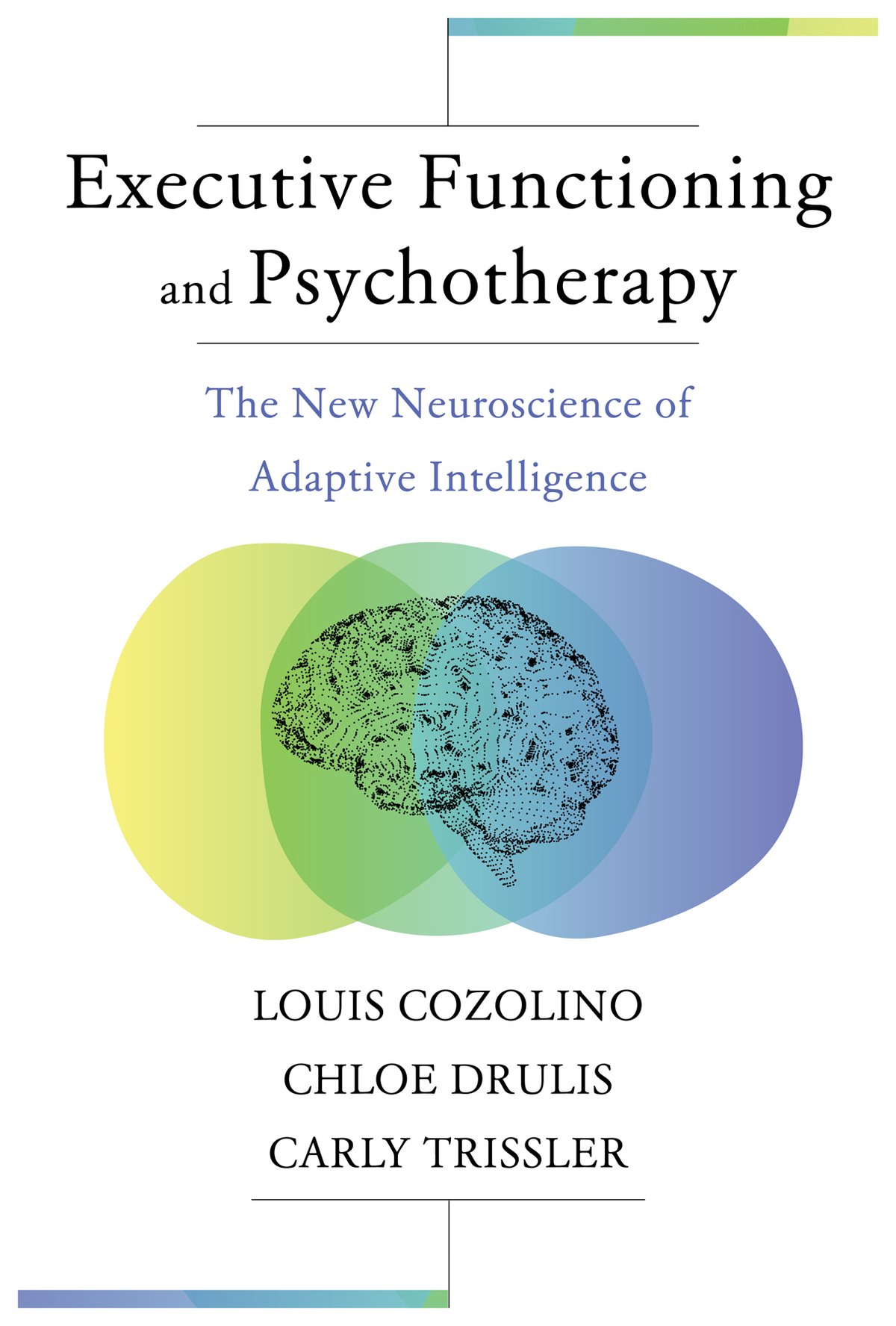 Cover of Executive Functioning and Psyc