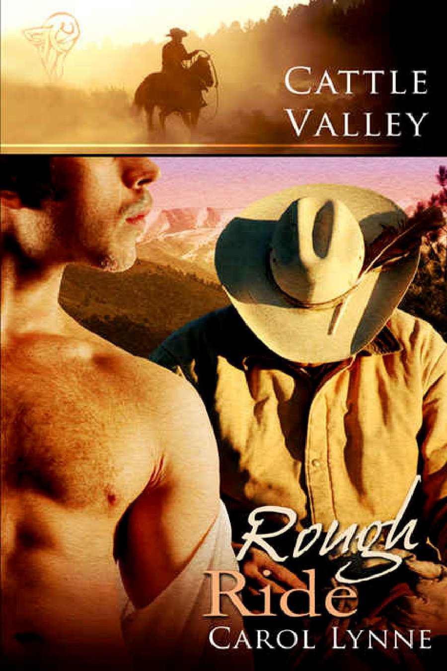 Cover of Rough Ride