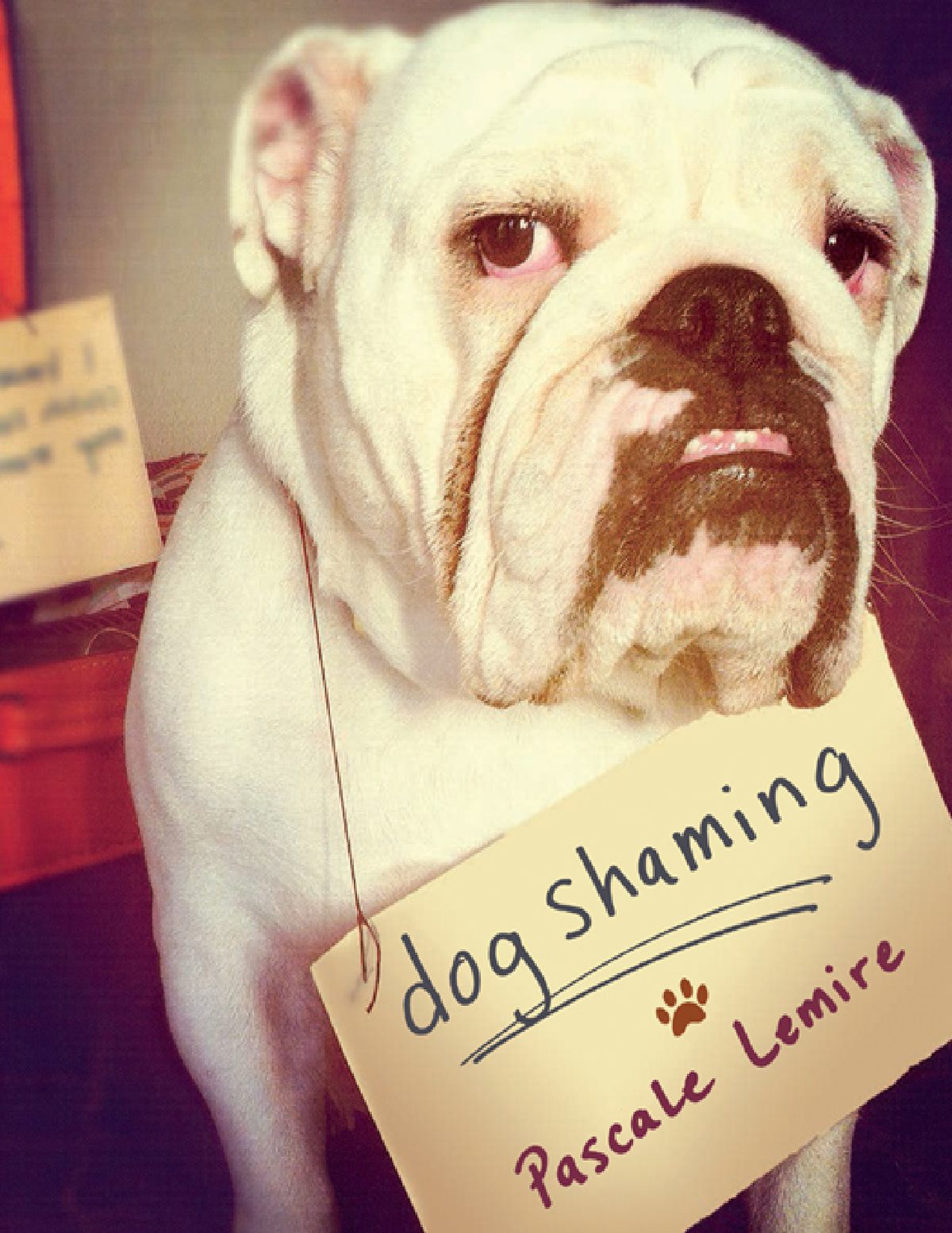 Cover of Dog Shaming (2013)