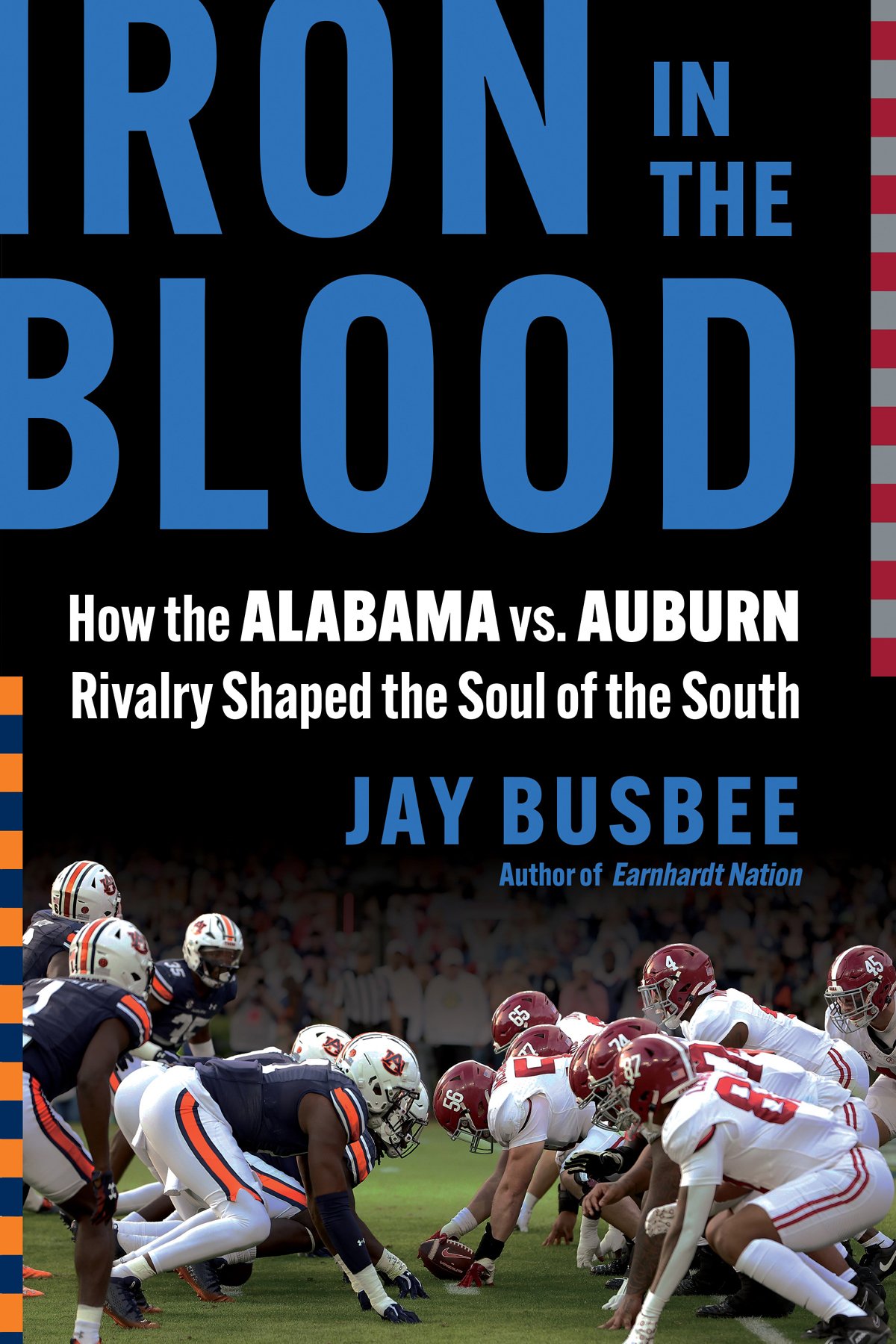 Cover of Iron in the Blood
