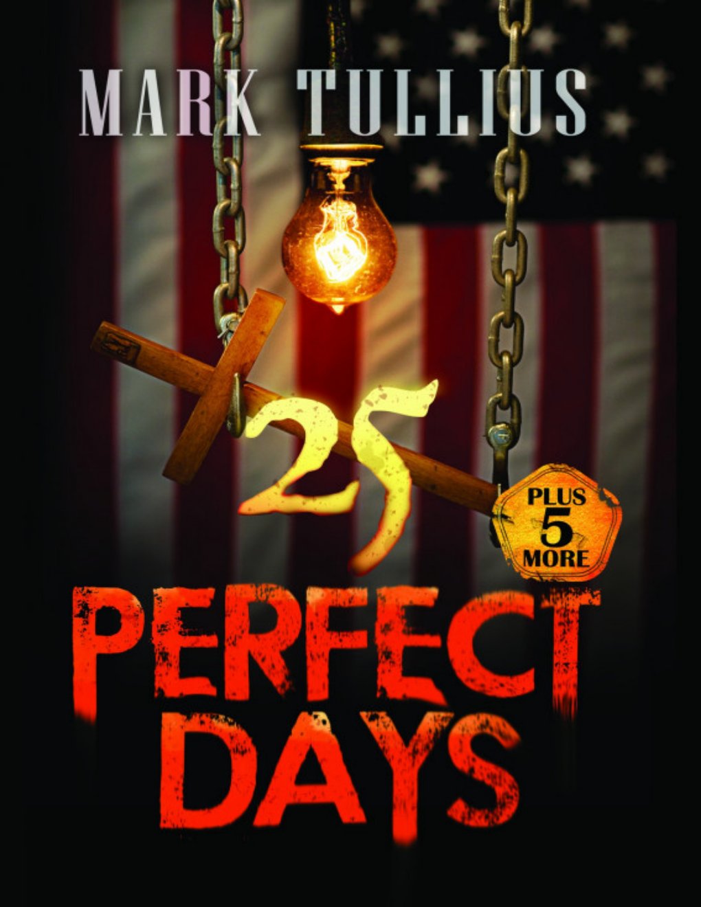 Cover of 25 Perfect Days