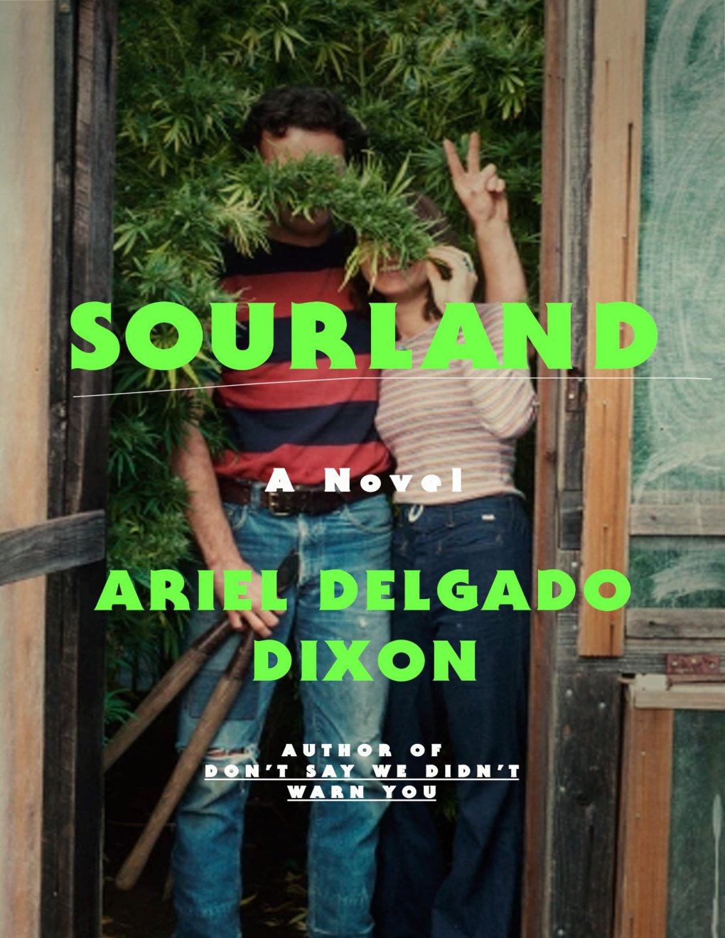 Cover of Sourland: A Novel