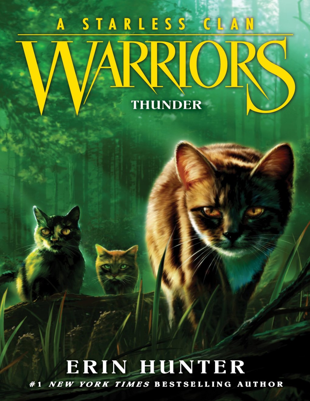 Cover of Warriors: A Starless Clan #4: Thunder