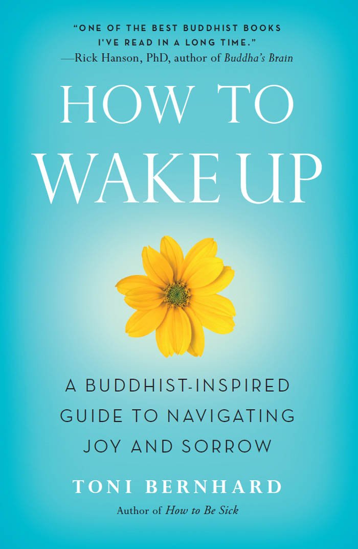 Cover of How to Wake Up