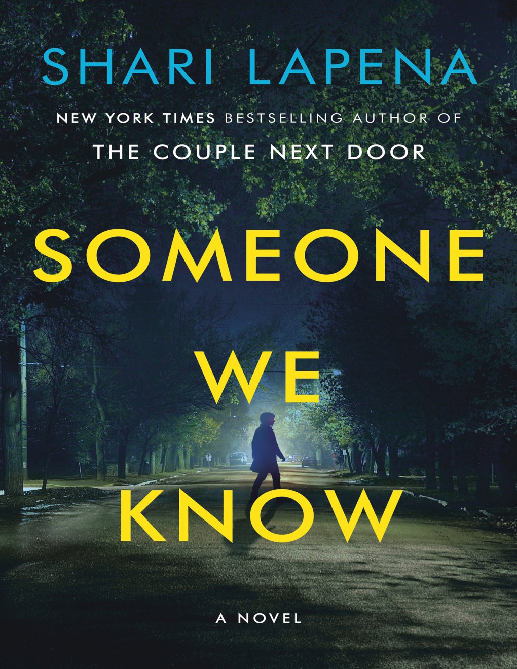 Cover of Someone We Know: A Novel