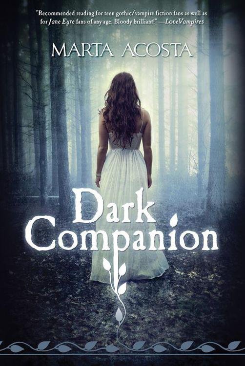 Cover of Dark Companion (1894)