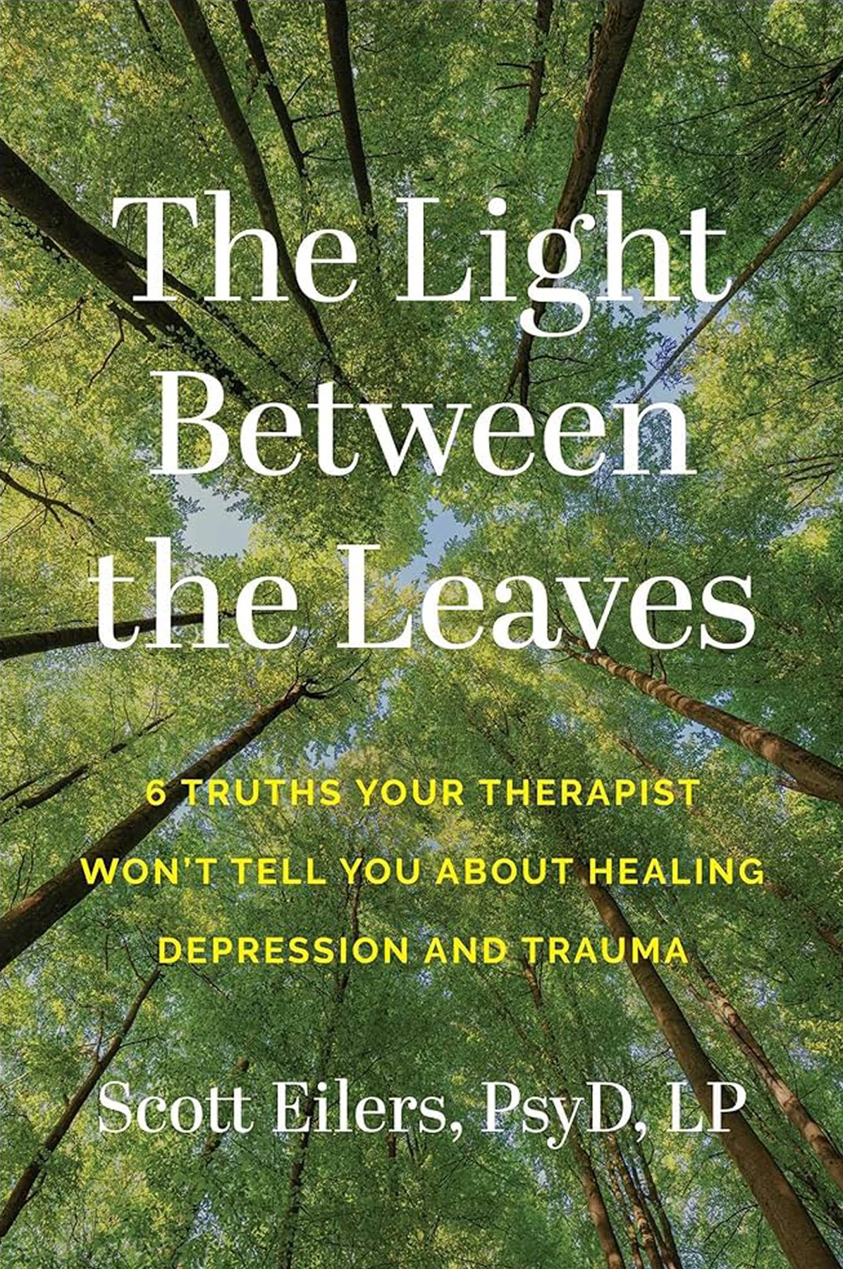 Cover of The Light Between the Leaves