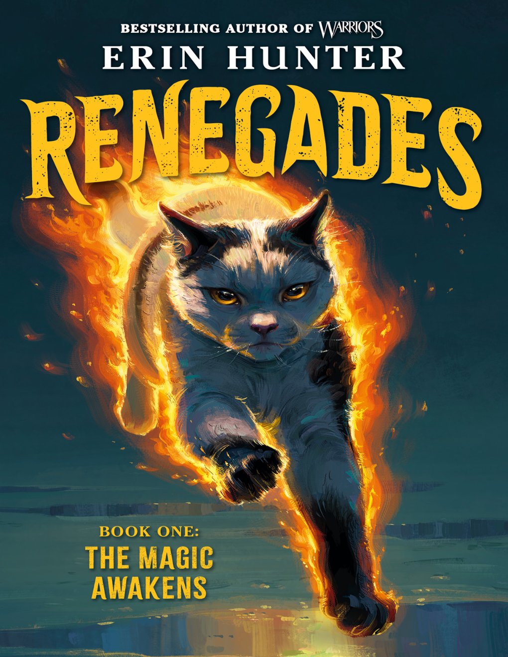 Cover of The Magic Awakens