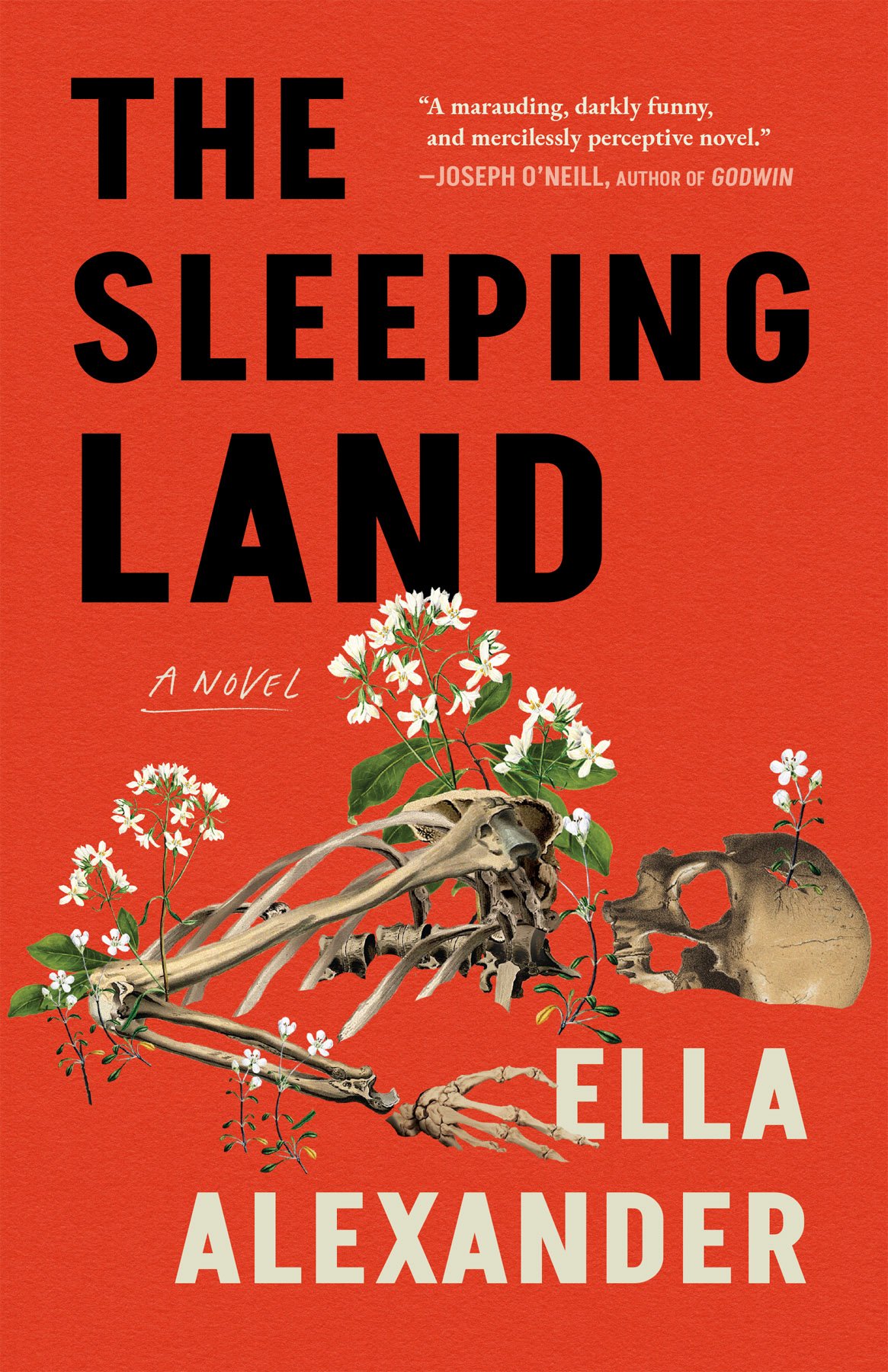 Cover of The Sleeping Land