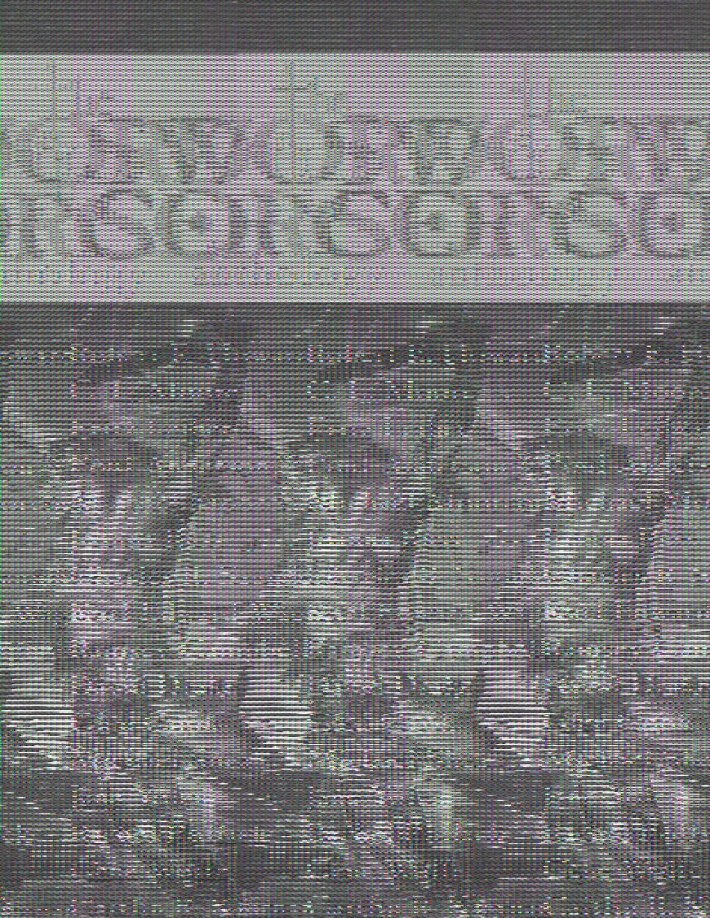 Cover of The Sword & Sorcery Anthology (1459)