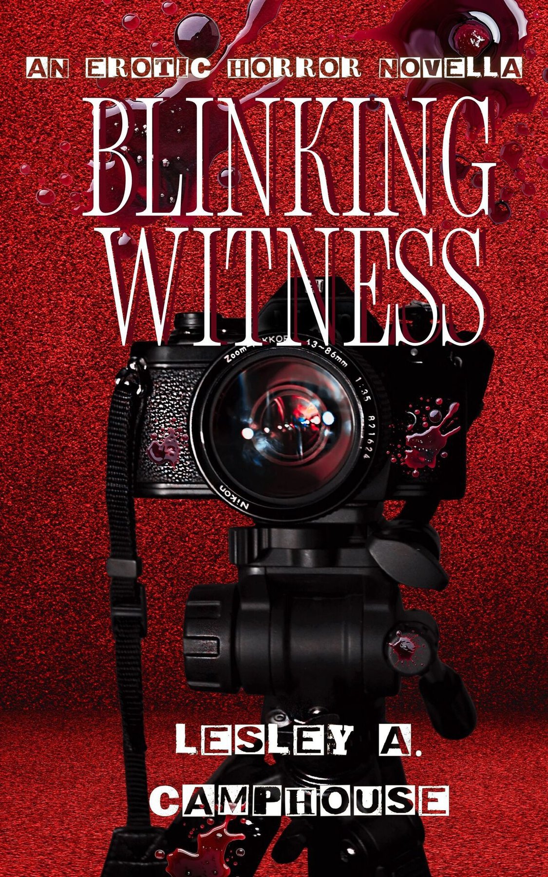 Cover of Blinking Witness