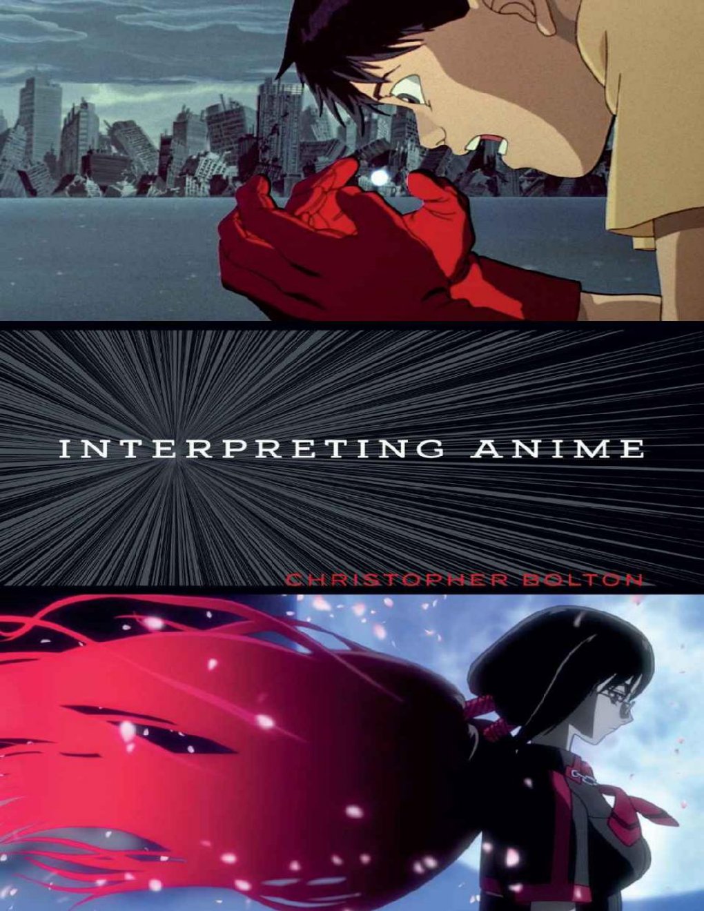 Cover of Interpreting Anime