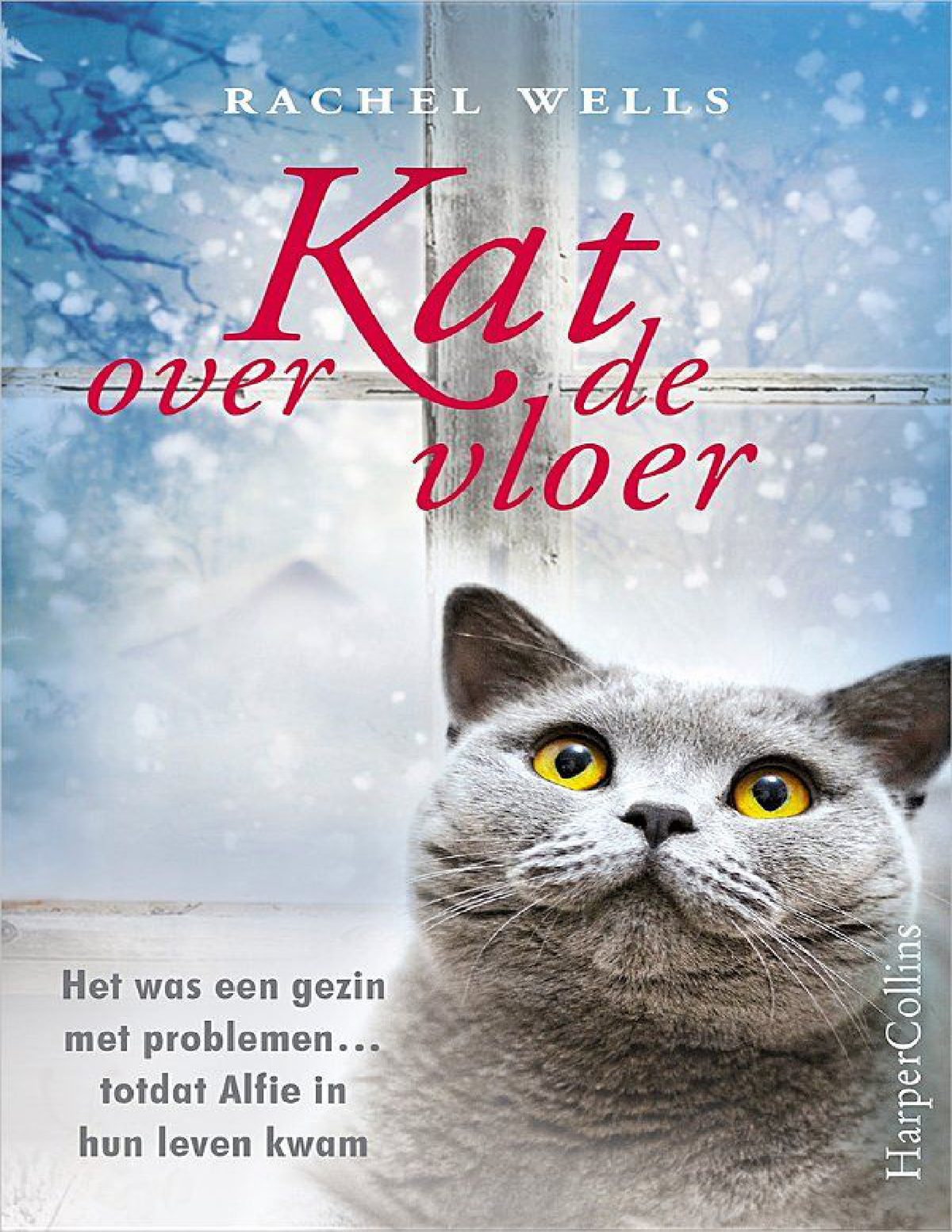 Cover of Kat over de vloer (2015)