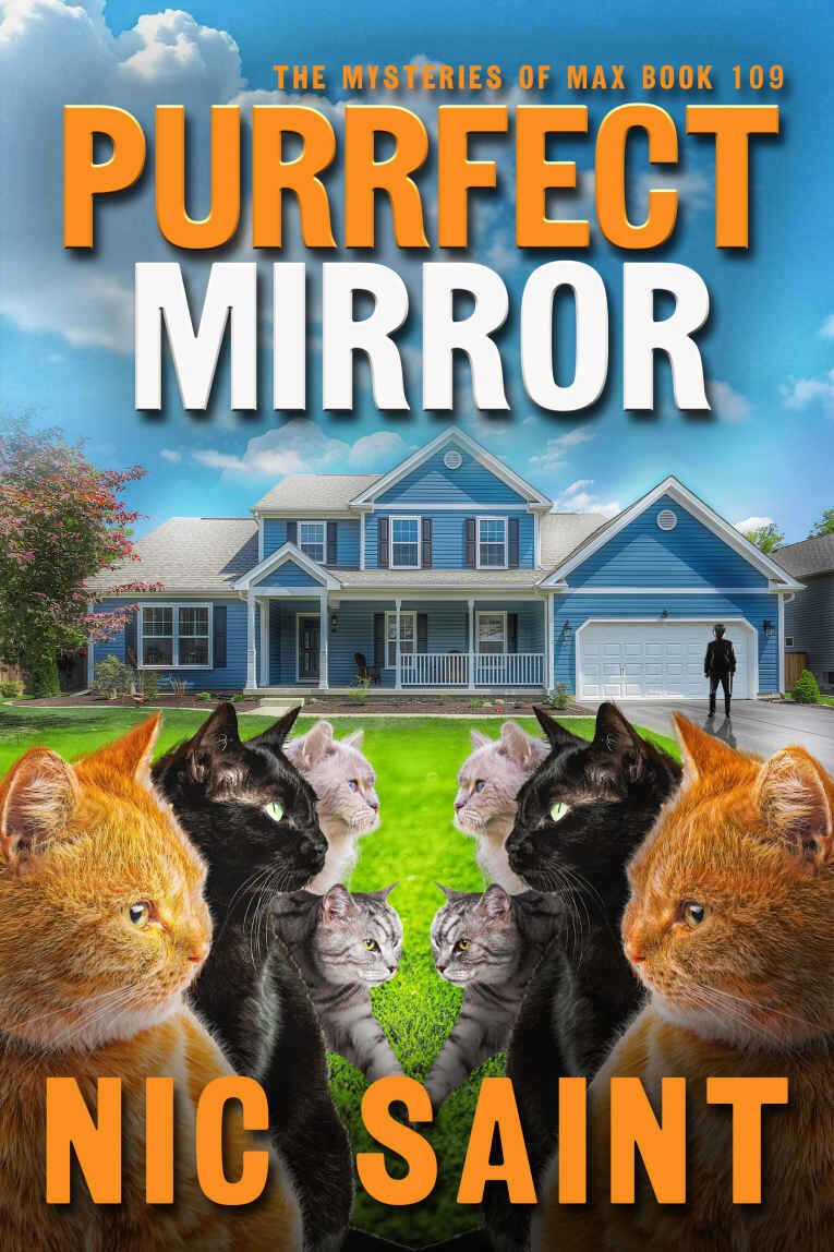 Cover of Purrfect Mirror