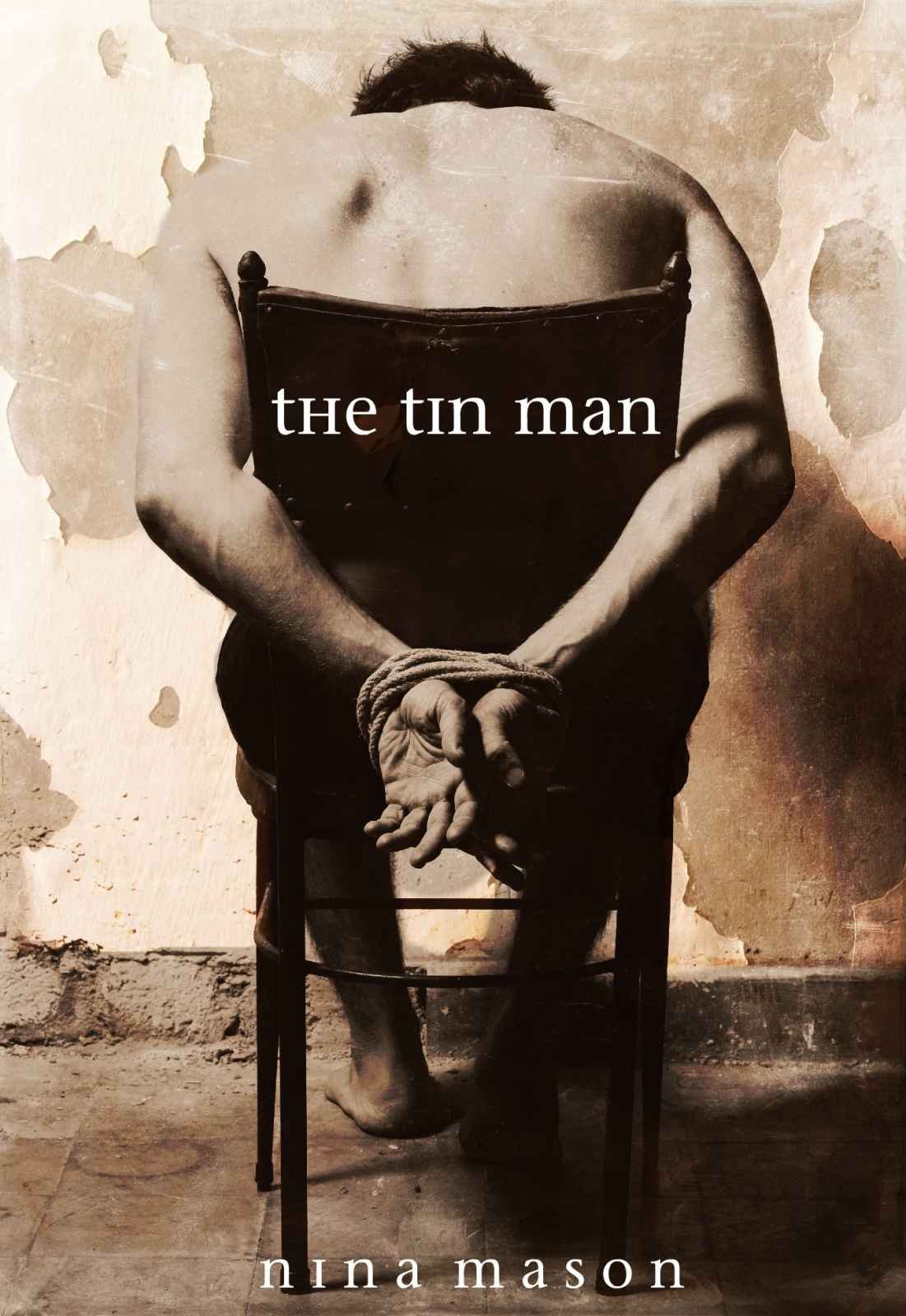 Cover of The Tin Man