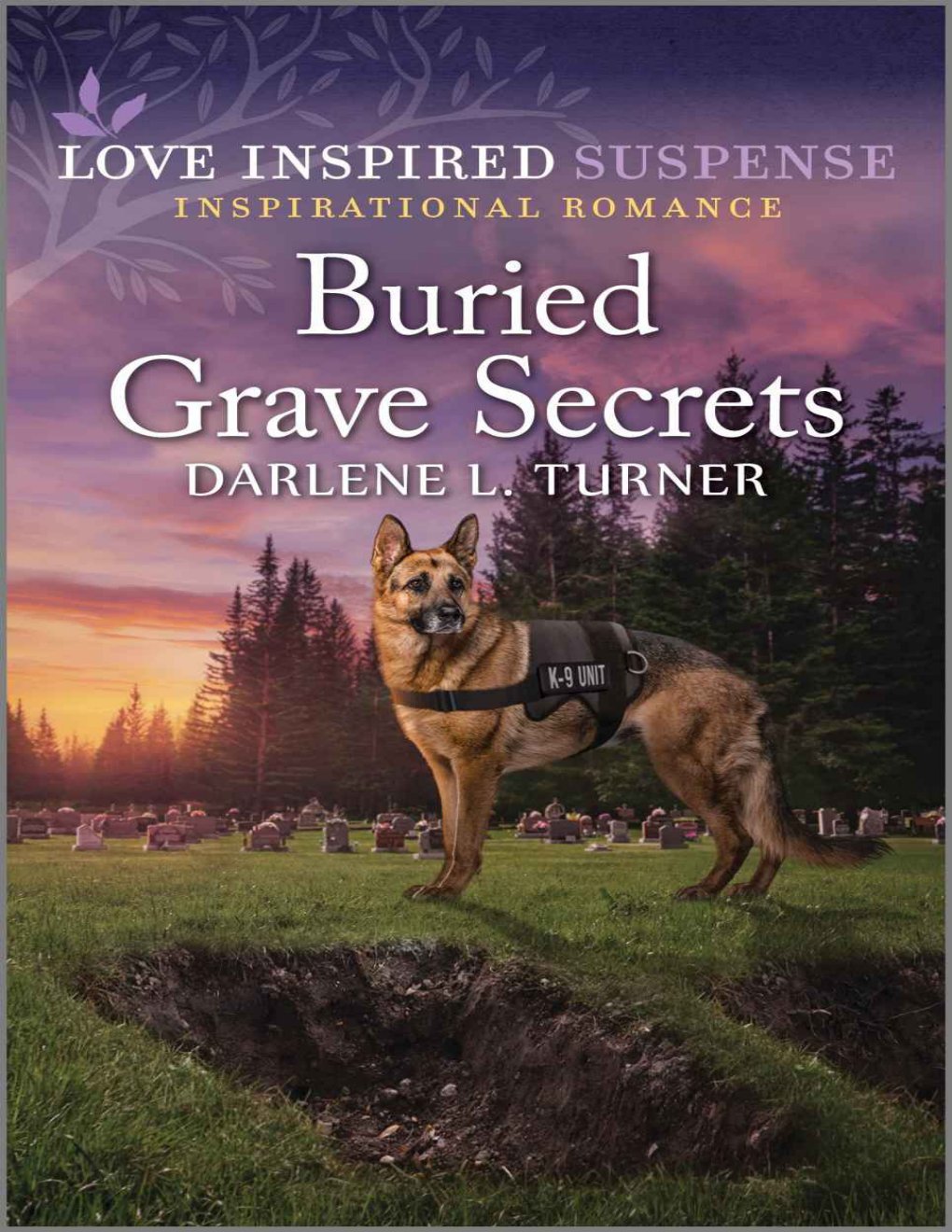 Cover of Buried Grave Secrets
