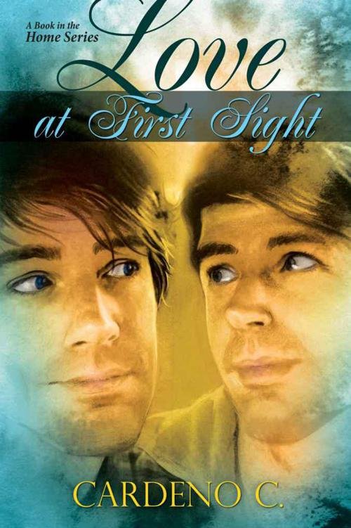 Cover of Love at First Sight (2011)