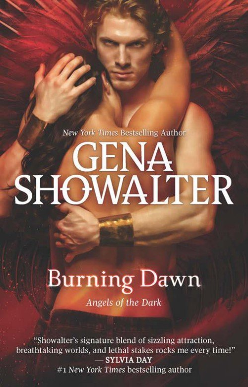 Cover of Burning Dawn