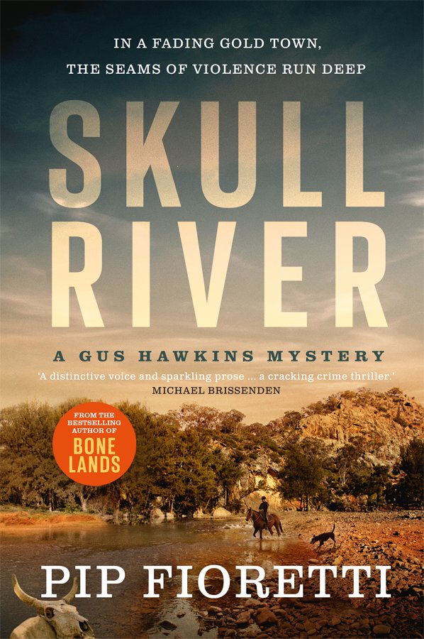 Cover of Skull River