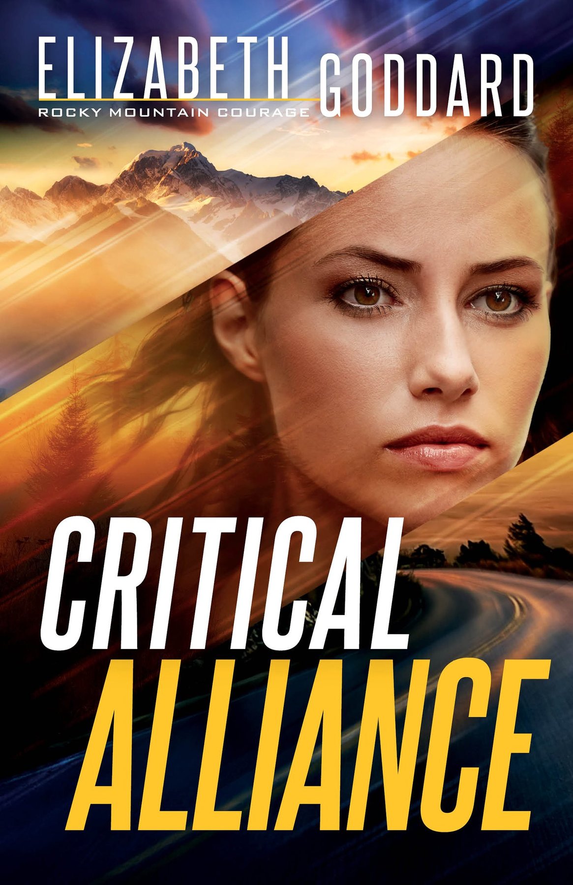 Cover of Critical Alliance