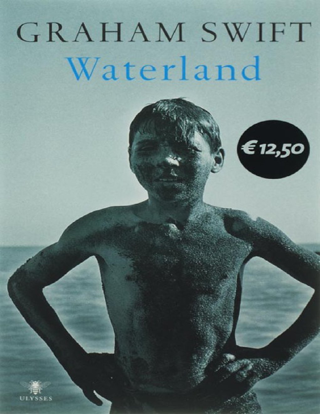 Cover of Waterland (1983)