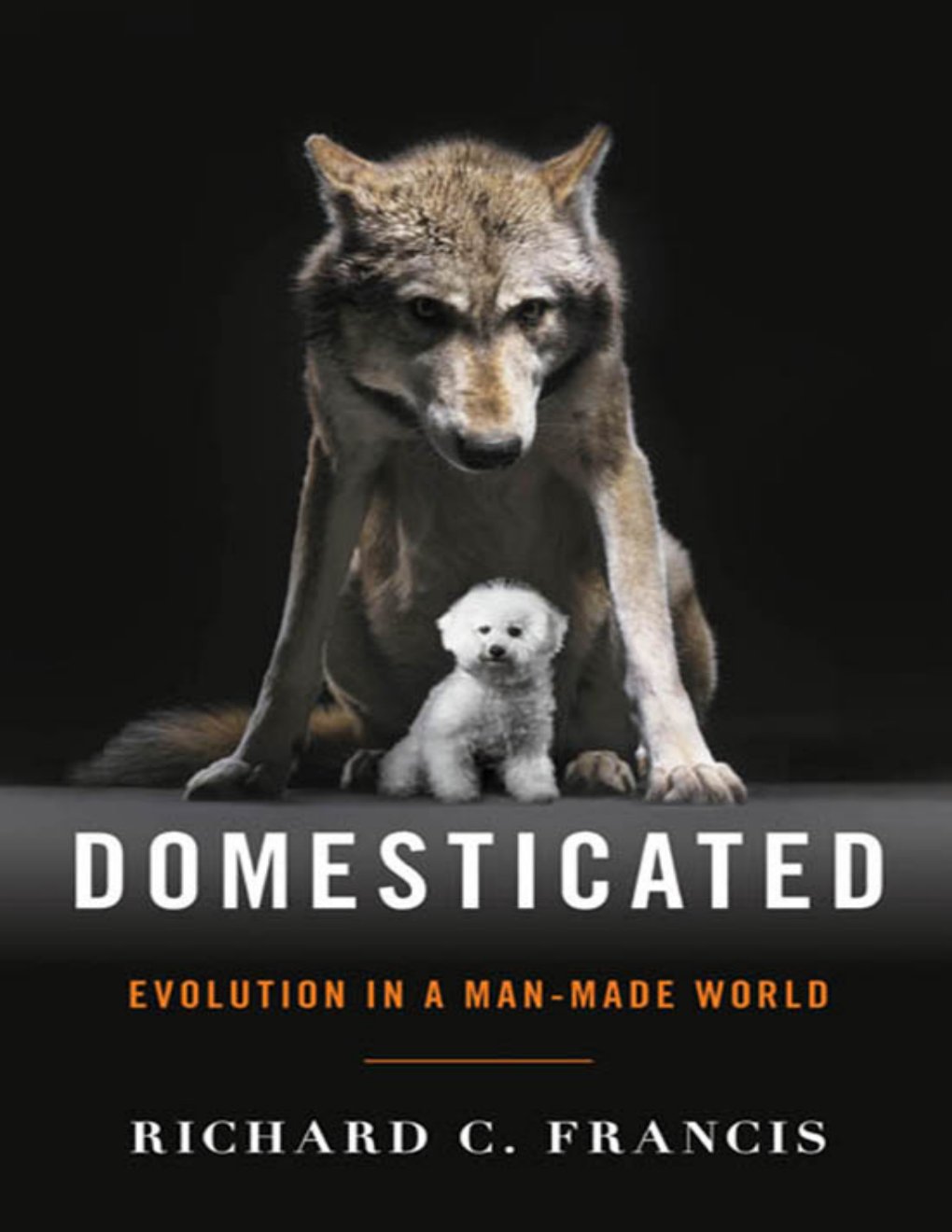 Cover of Domesticated