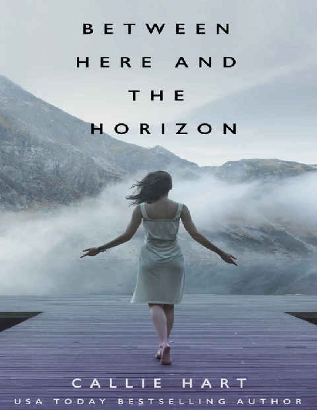 Cover of Between Here and the Horizon