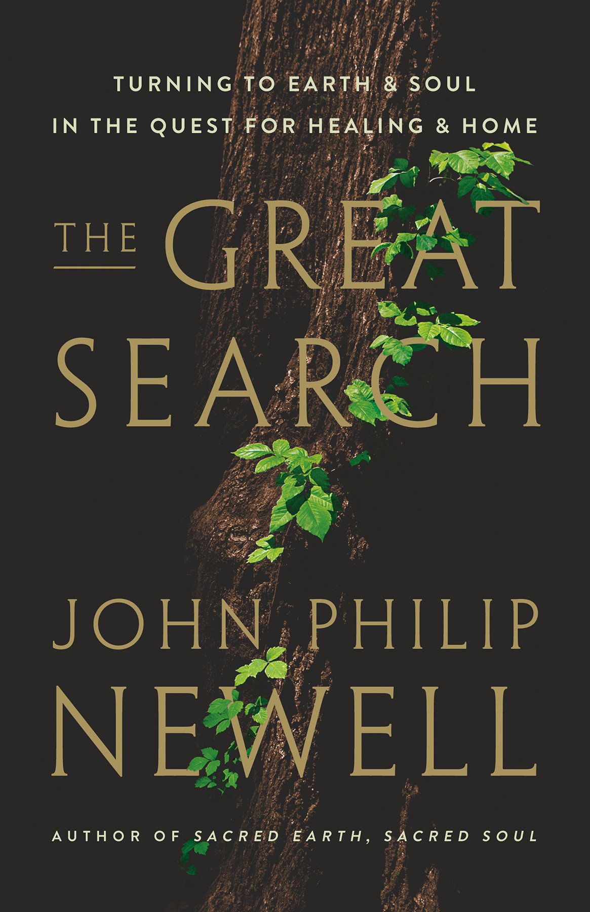 Cover of The Great Search