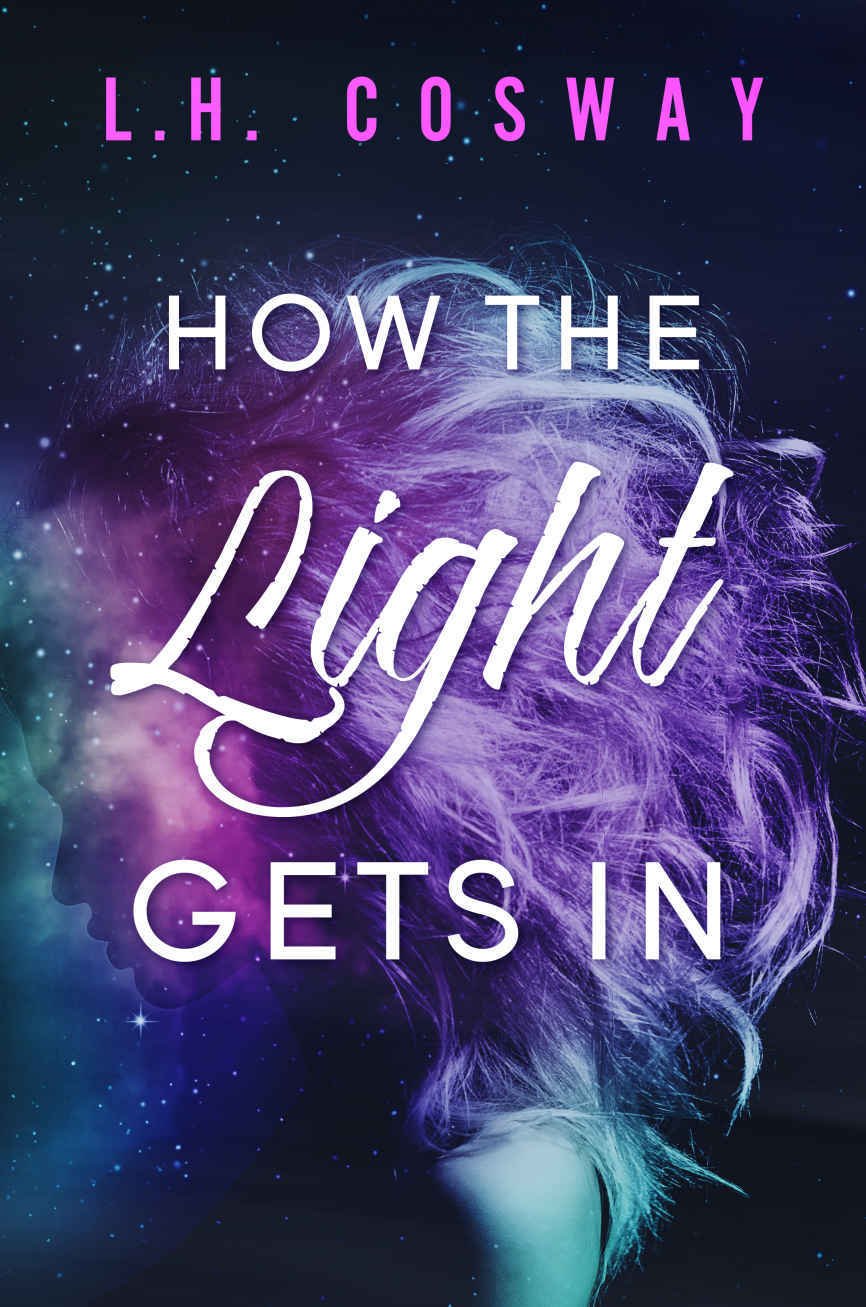 Cover of How the Light Gets In