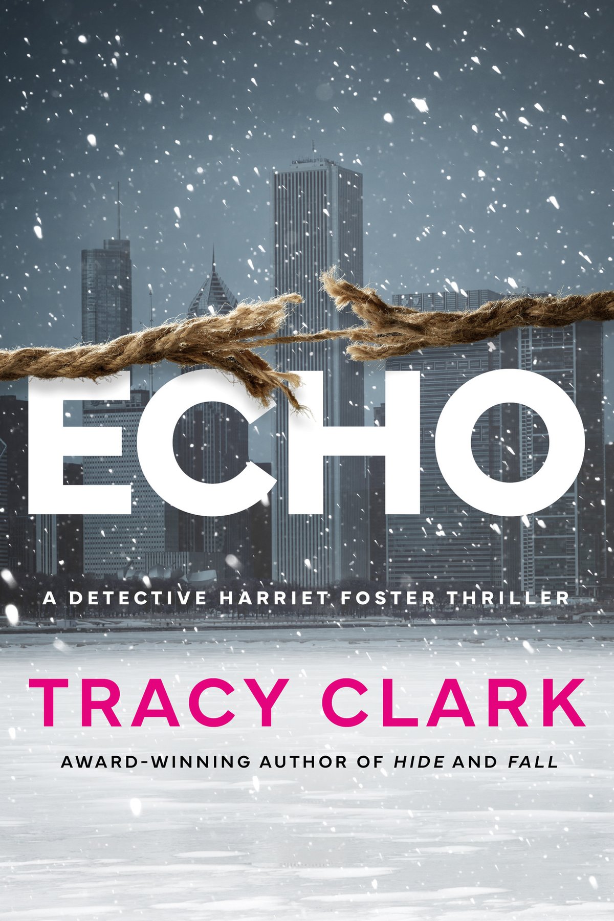 Cover of Echo (Detective Harriet Foster)