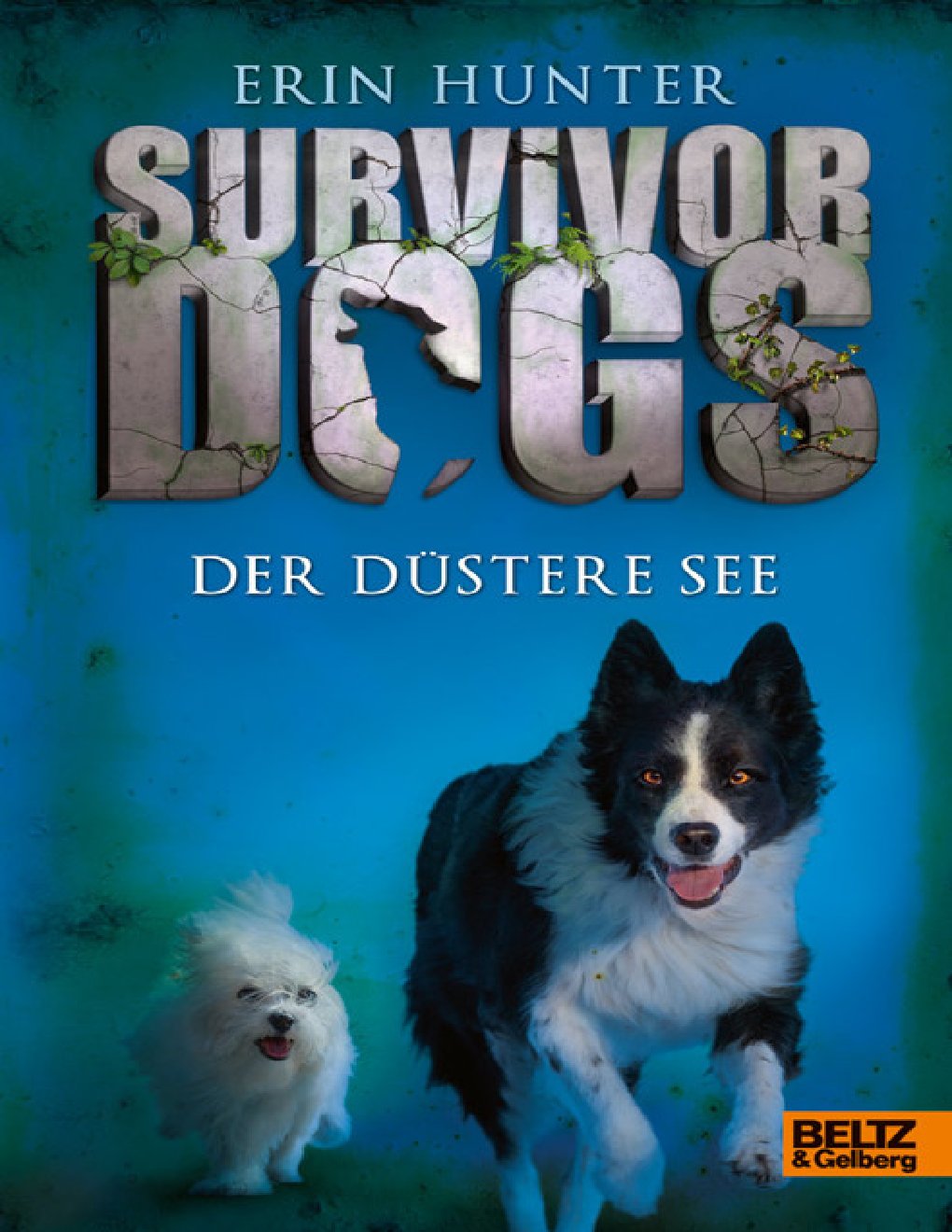 Cover of Der Düstere See