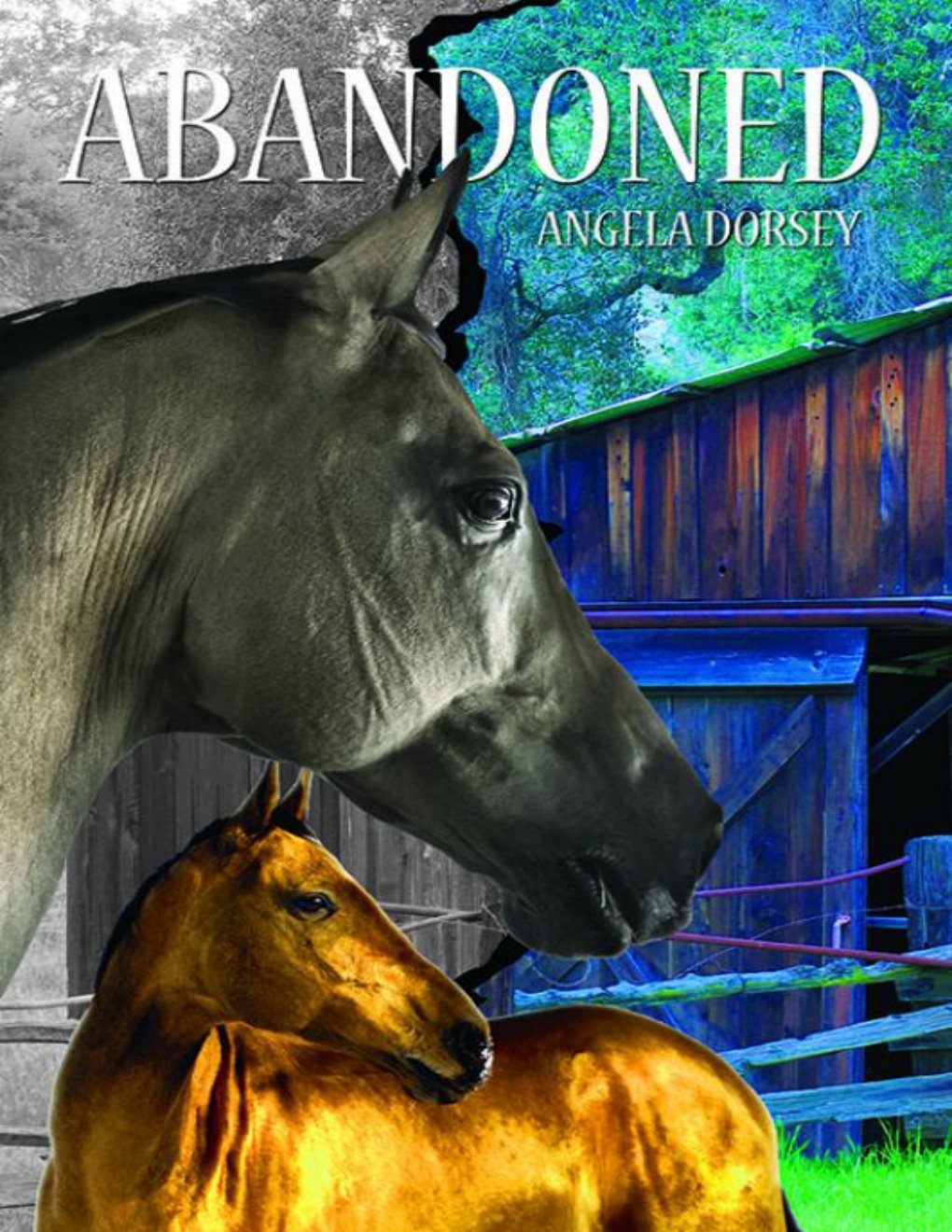 Cover of Abandoned