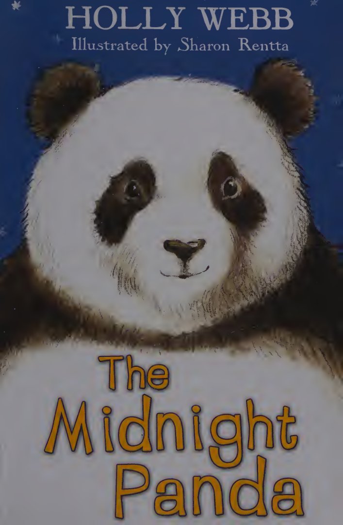 Cover of The midnight panda (2016)