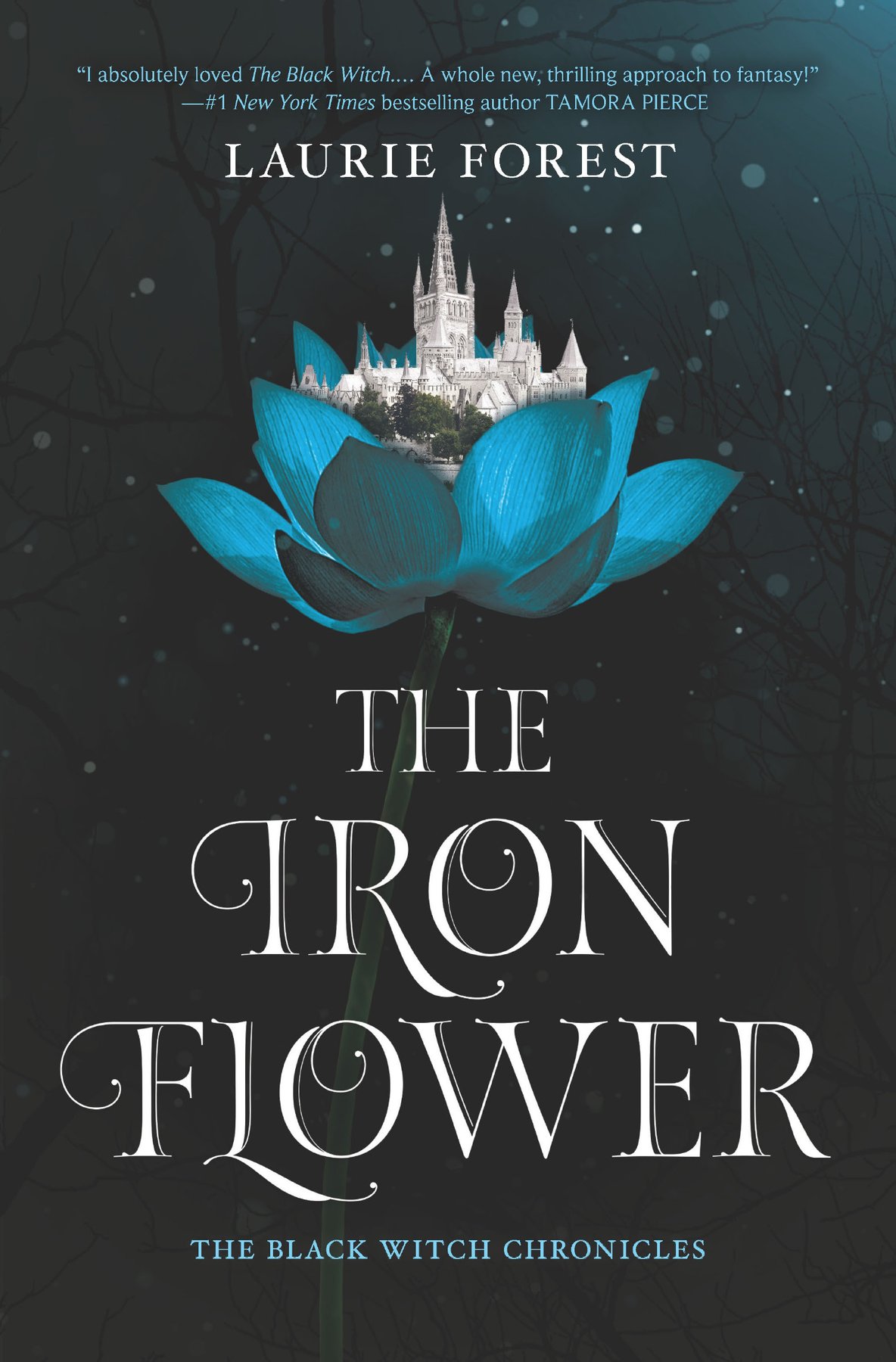 Cover of The Iron Flower (2018)