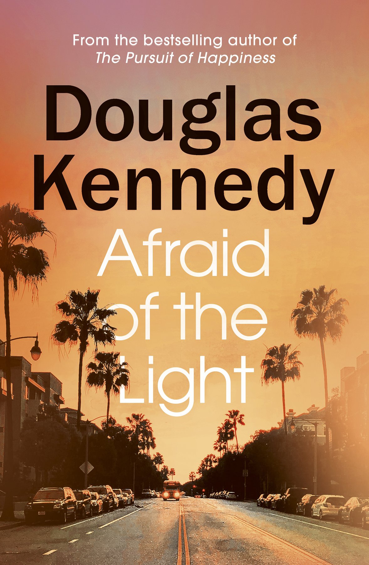 Cover of Afraid of the Light
