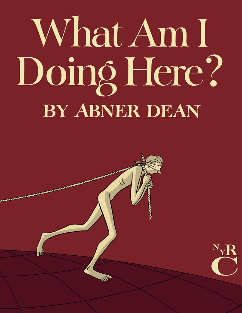 Cover of What Am I Doing Here?