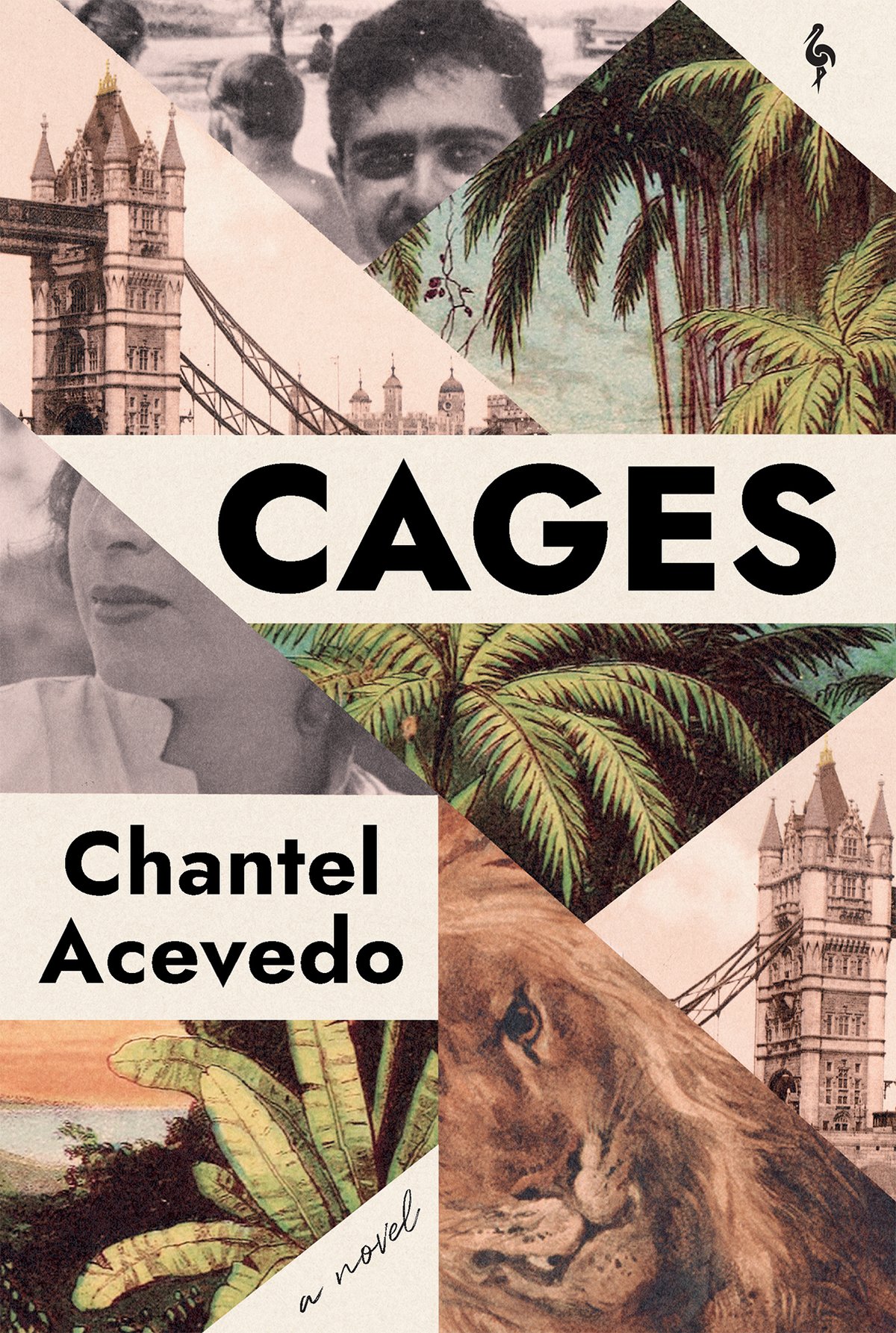 Cover of Cages